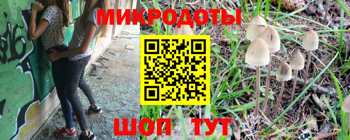 Галлюциногенные грибы Psilocybe Коряжма