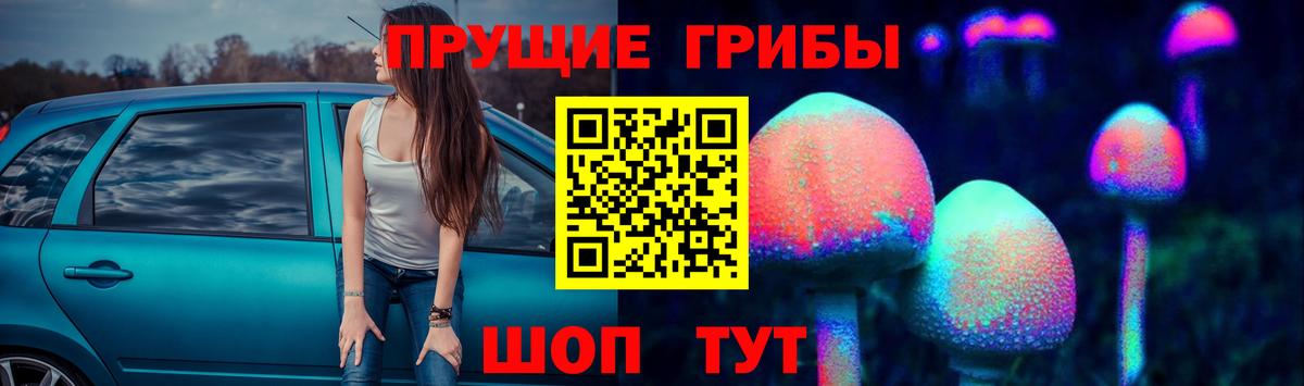 Псилоцибиновые грибы мухоморы  Вход с VPN  где купить наркотик  Коряжма 